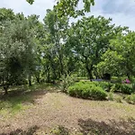 Scuolina